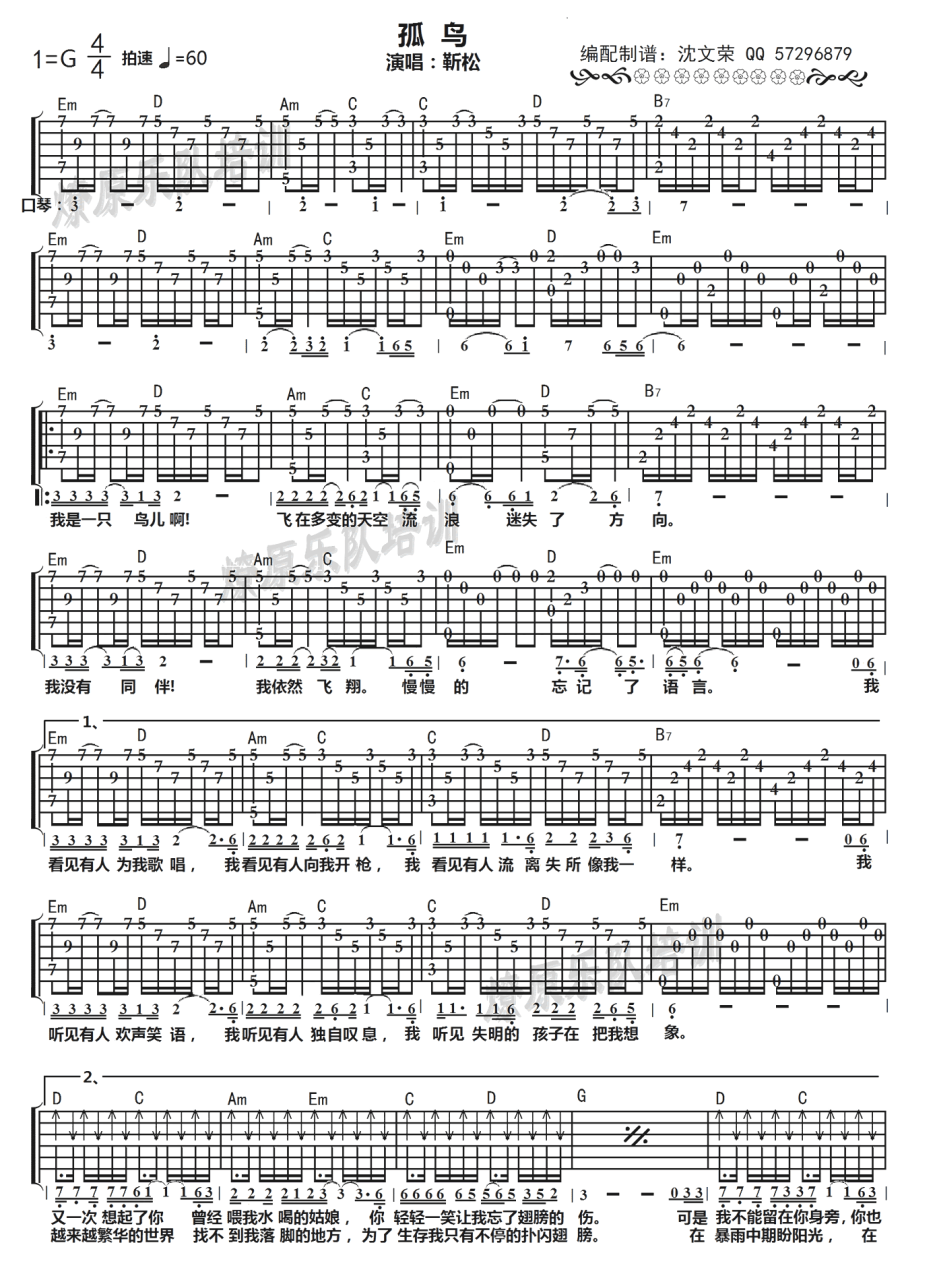 《孤鸟》吉他谱_G调六线谱_靳松插图